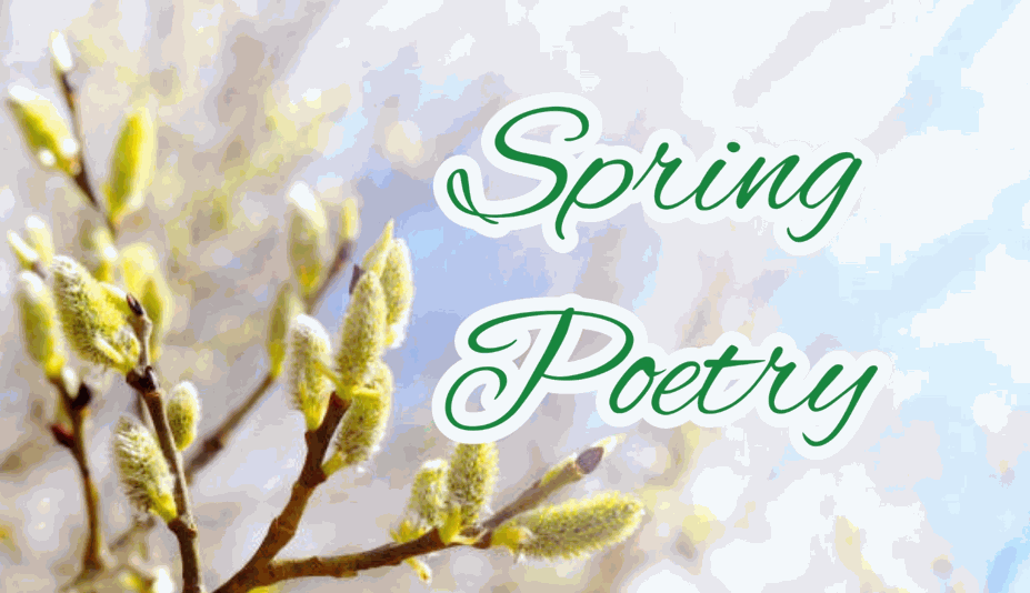 VIII Всероссийского конкурса чтецов на английском языке «Spring Poetry»