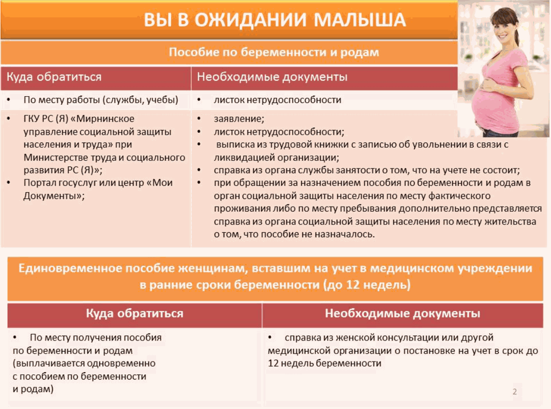 Социальная поддержка семей с детьми Мирнинского района РС (Я).